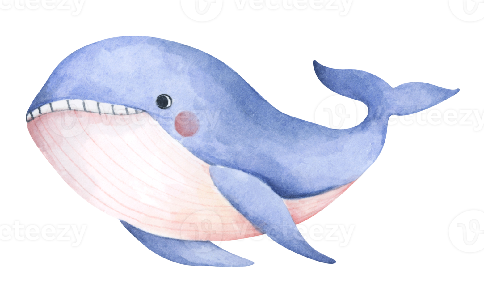 Cute blue whale. Underwater animal art. Watercolor illustration. png