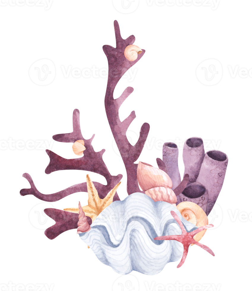 composición de acuarela pintada a mano con algas, corales y conchas. png