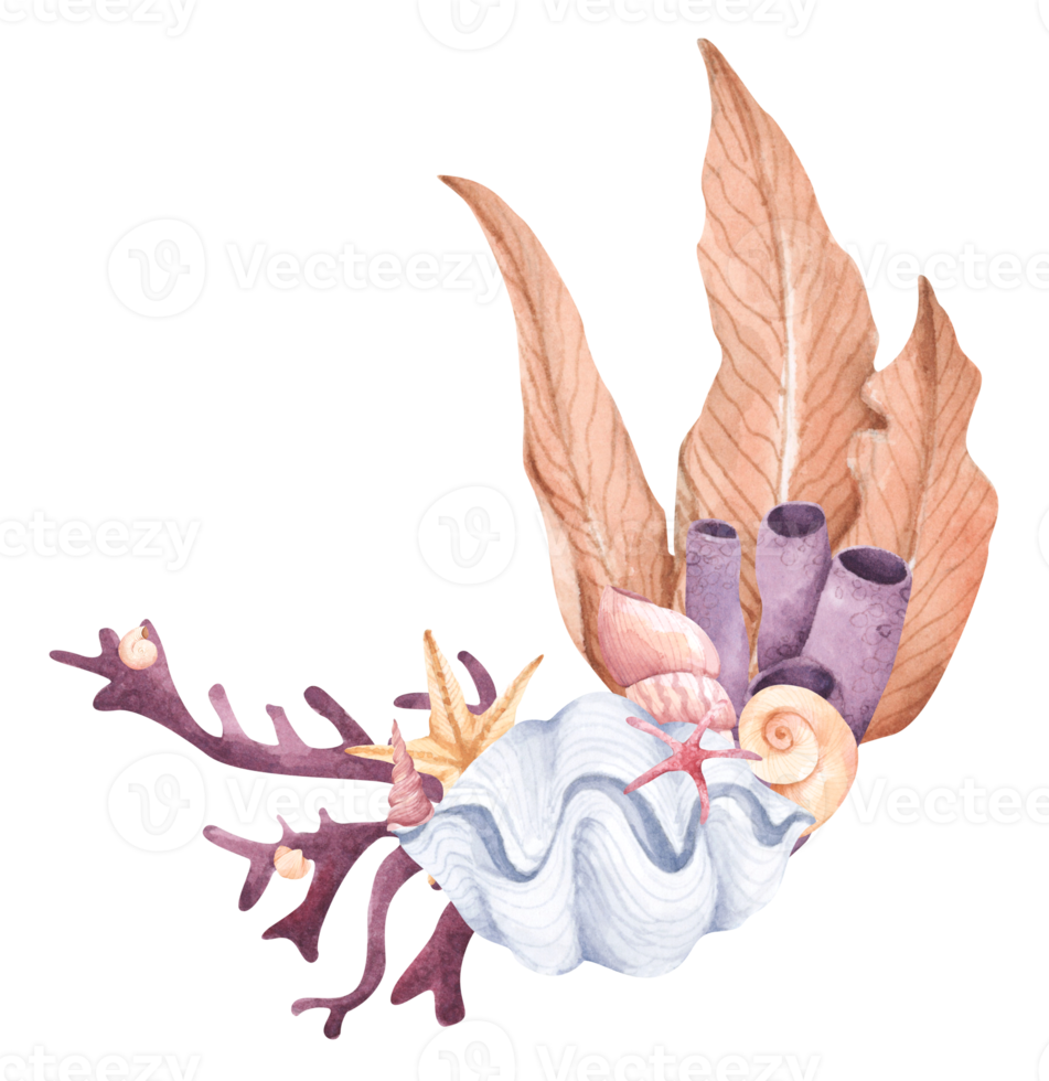 composição em aquarela pintada à mão com algas, corais e conchas. png