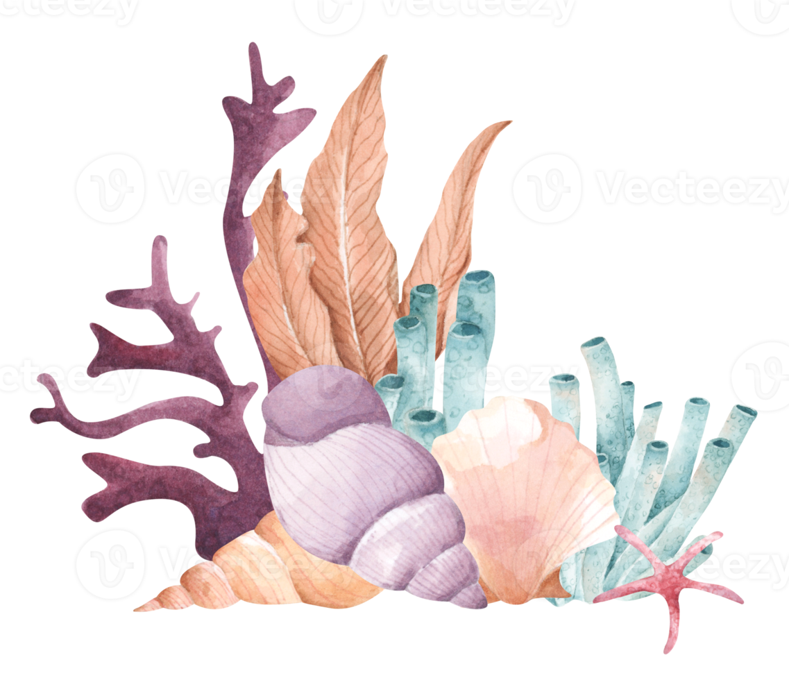 composición de acuarela pintada a mano con algas, corales y conchas. png