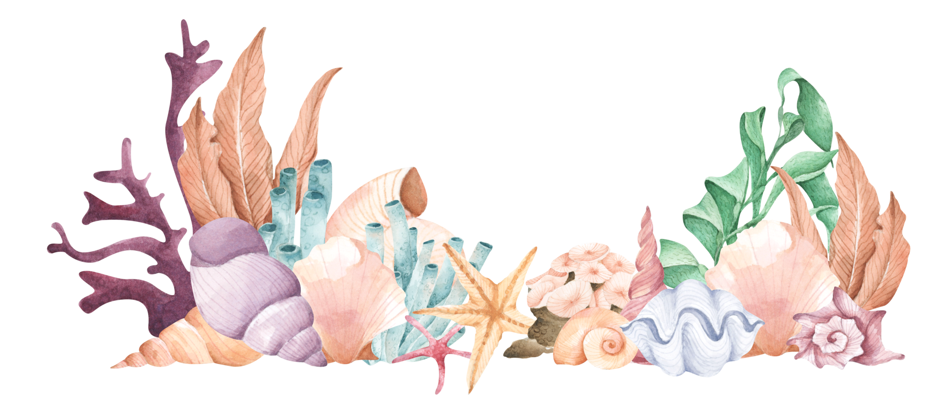 Hand Painted Watercolor Composition With Seaweed Corals And Shells hand-painted-watercolor-composition-with-seaweed-corals-and-shells