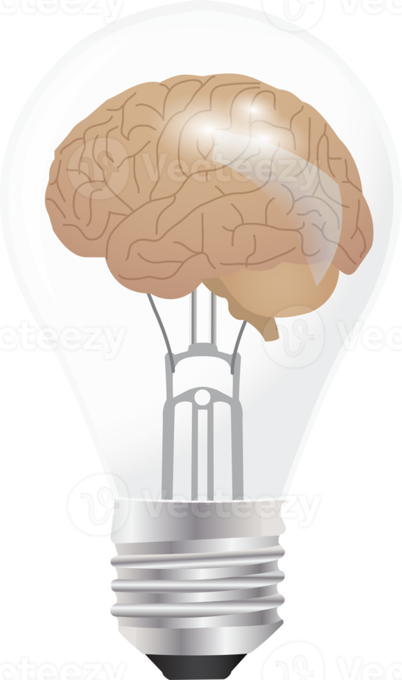 Brain in the light bulb as a metaphor for idea png