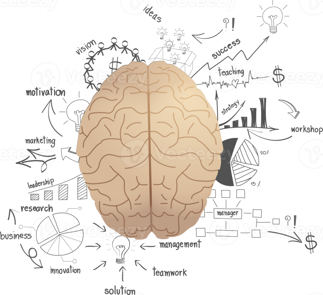 cerveau créatif avec dessin idée de plan de stratégie de réussite commerciale png