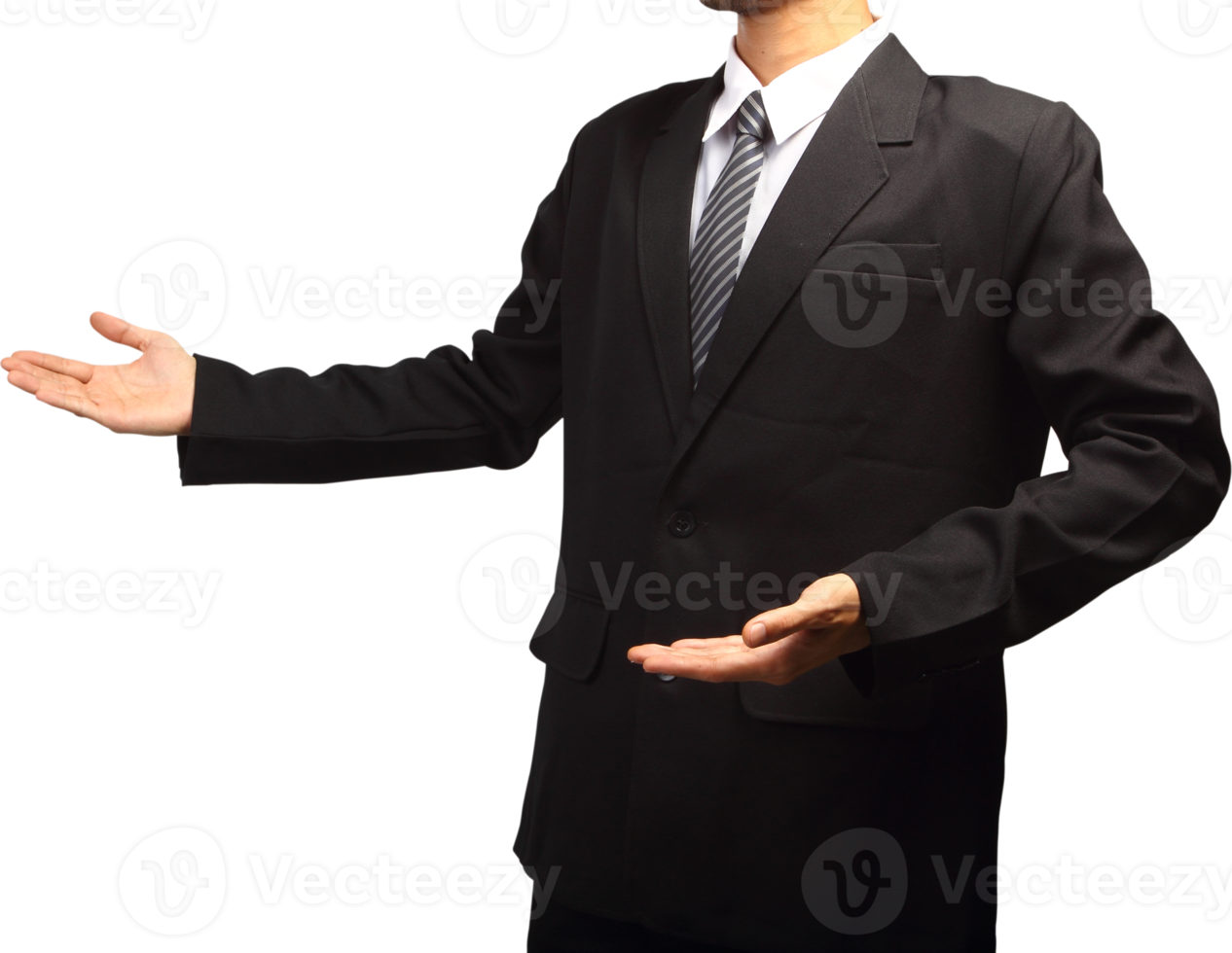 Business Man hand holding png