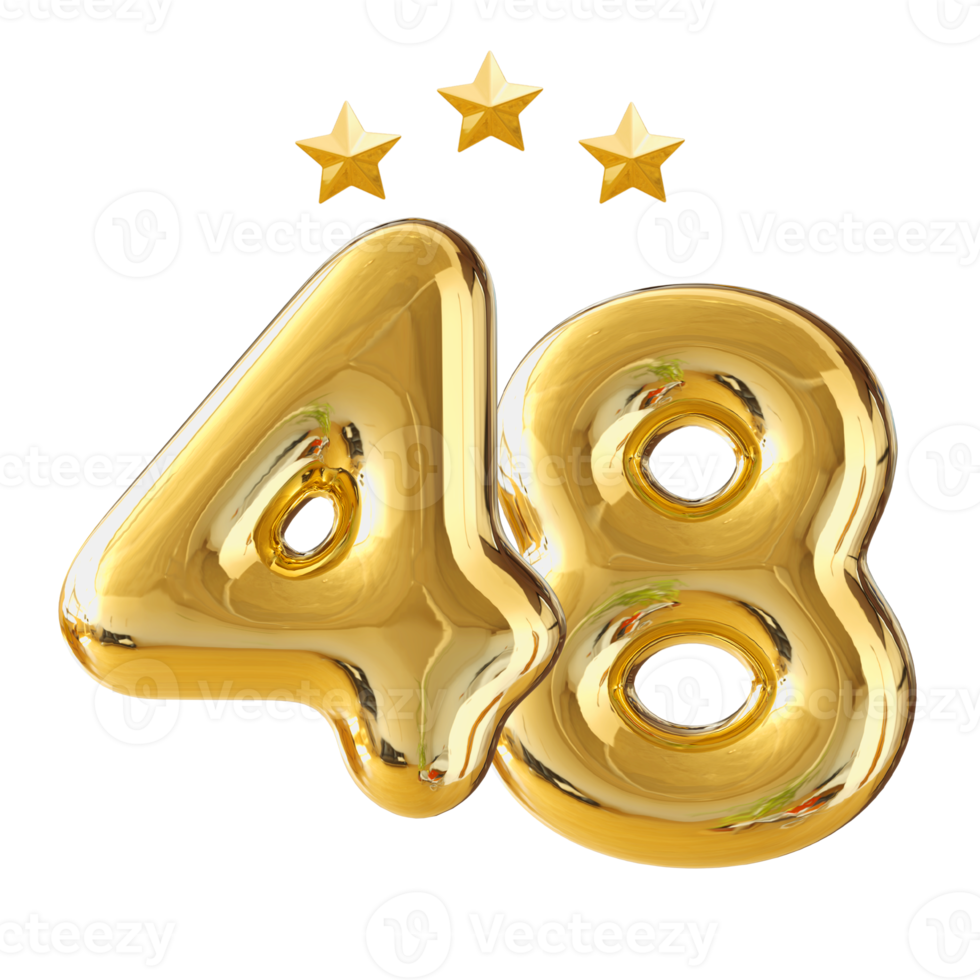 48 Years Anniversary Number 11287843 PNG