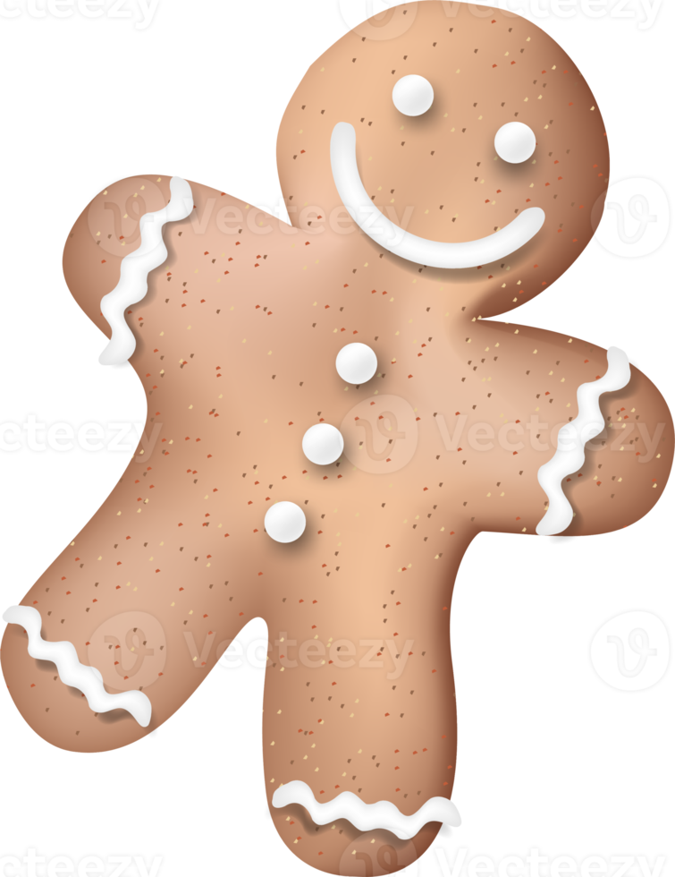 Pan di zenzero biscotto cartone animato png