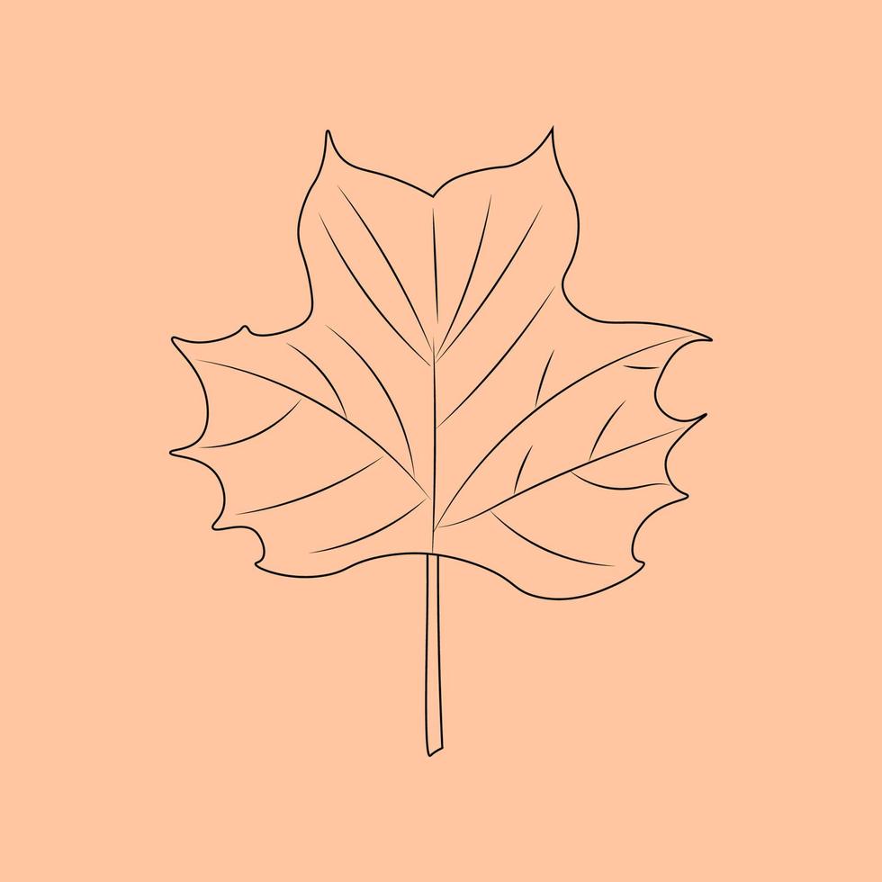 Set of hand drawn leaf outlines. Vector illustration. on the autumn background