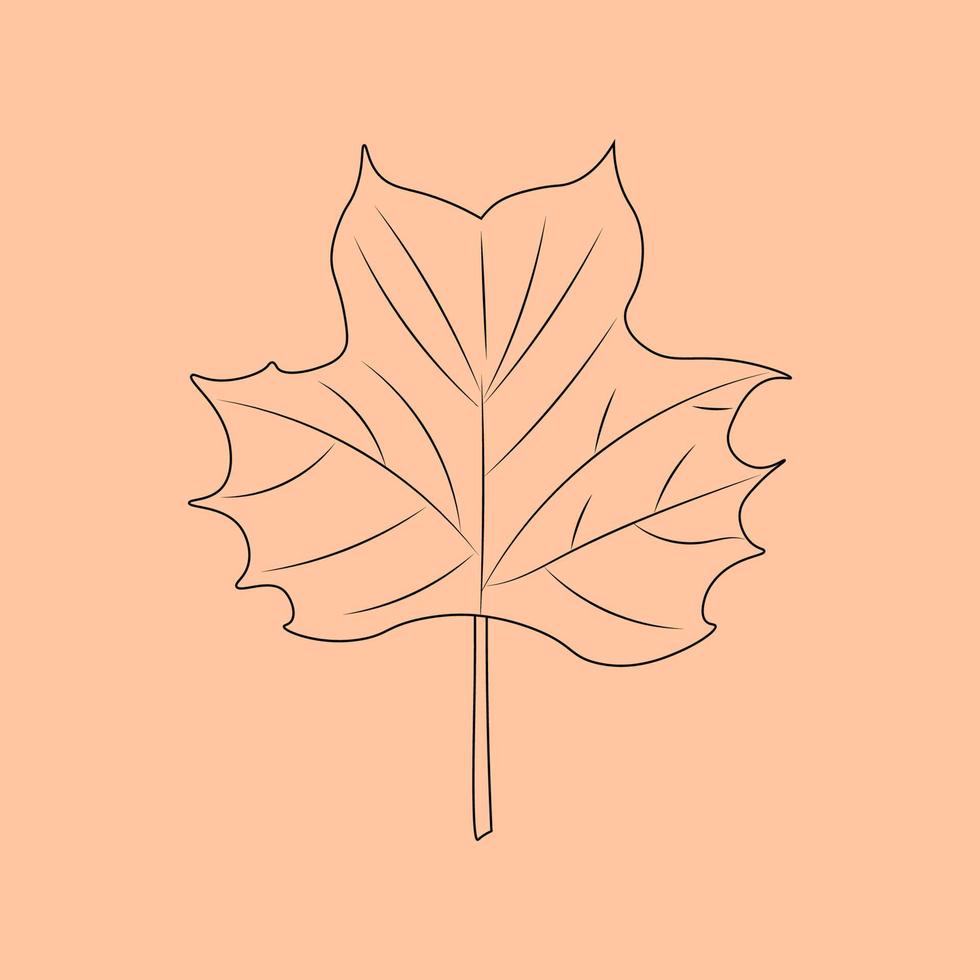 Set of hand drawn leaf outlines. Vector illustration. on the autumn background