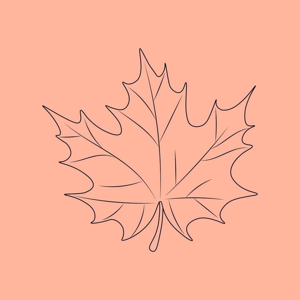Set of hand drawn leaf outlines. Vector illustration. on the autumn background