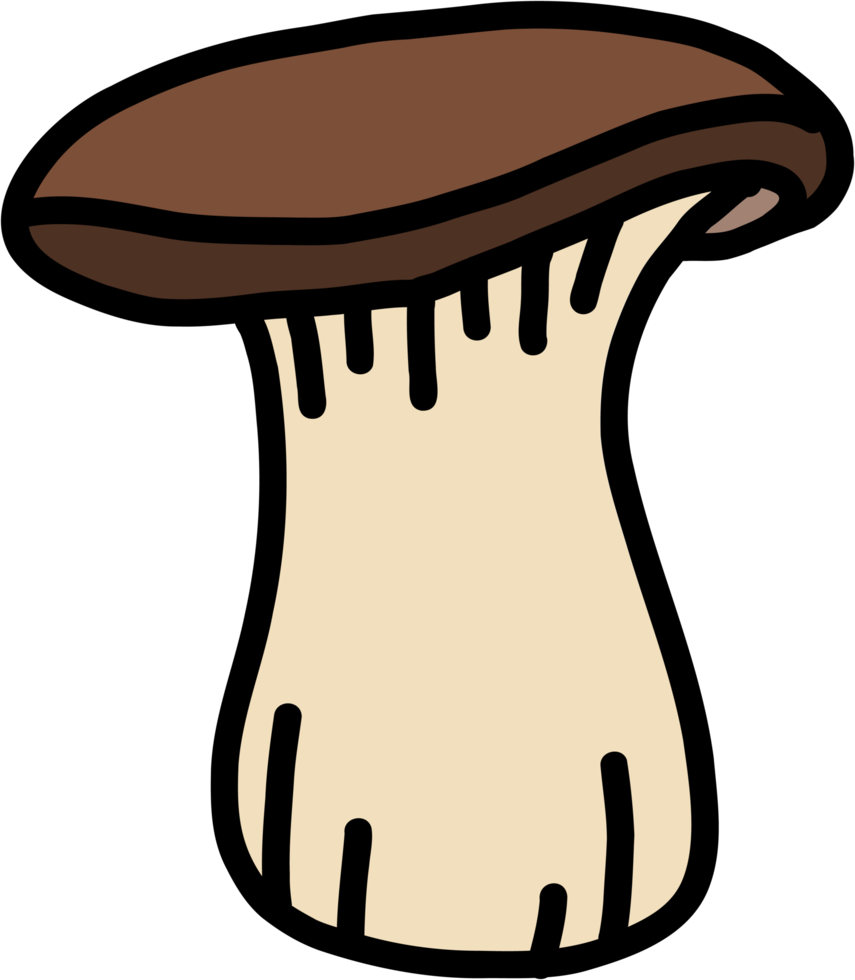 doodle freehand sketch drawing of mushroom vegetable. png