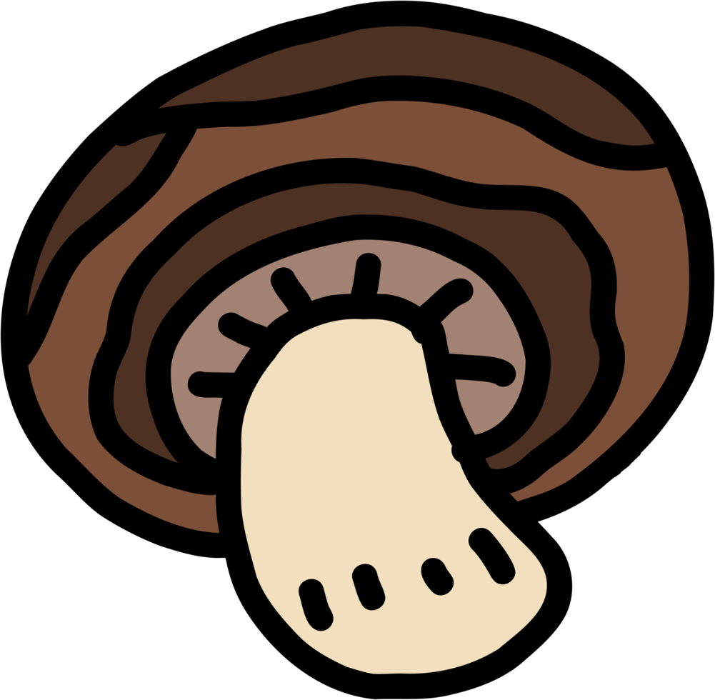 doodle freehand sketch drawing of mushroom vegetable. png