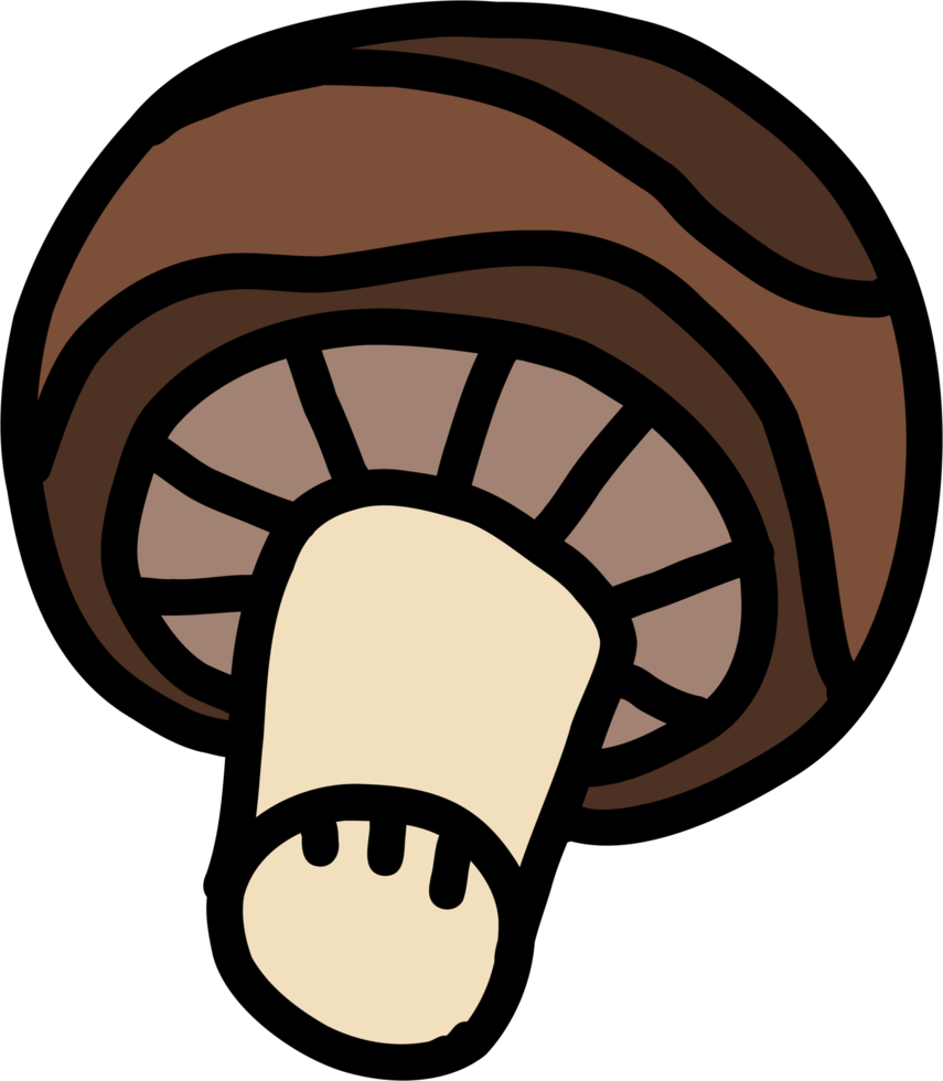 doodle freehand sketch drawing of mushroom vegetable. png