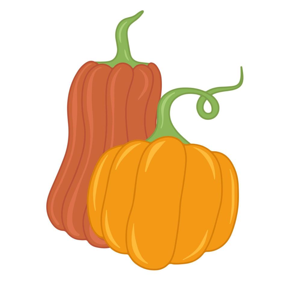 ilustración aislada de vector plano de calabaza naranja de otoño estacional