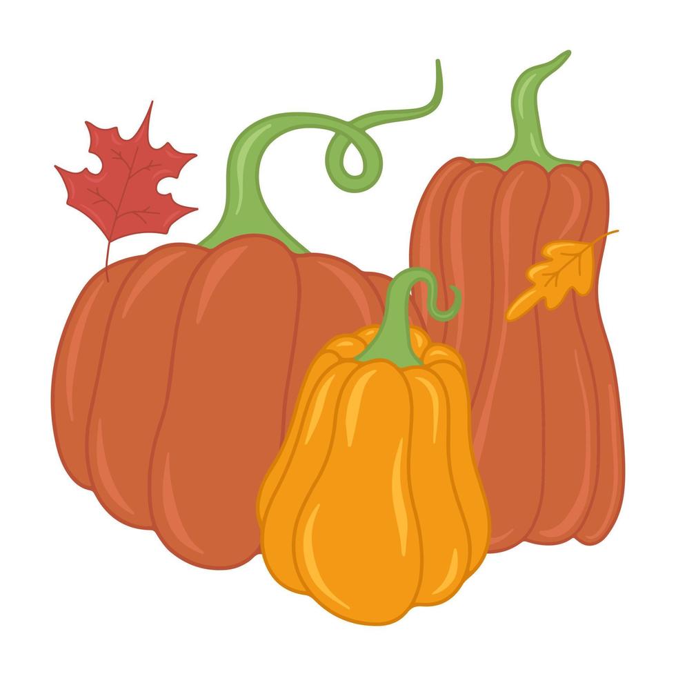 ilustración aislada de vector plano de calabaza naranja de otoño estacional