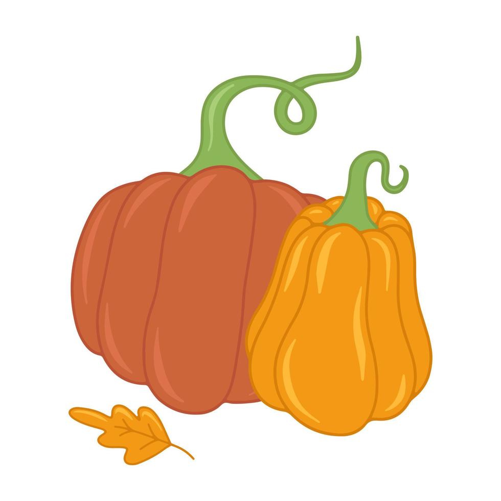 ilustración aislada de vector plano de calabaza naranja de otoño estacional