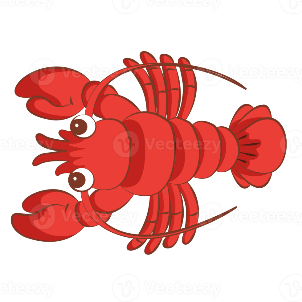 Shrimp coloring cartoon design on transparent background png