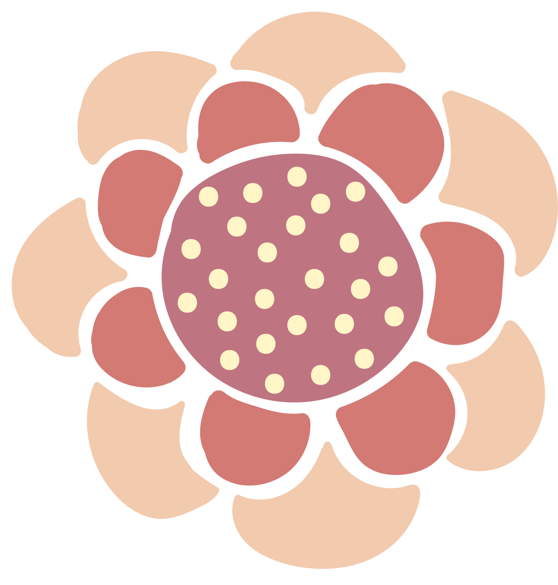 simple-hand-draw-flower-11288735-png
