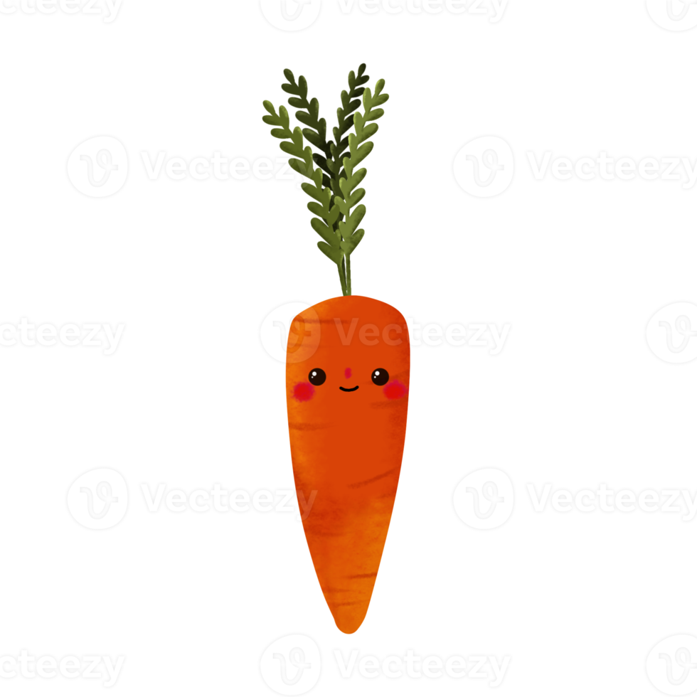 Vegetarian hand drawing illustration png