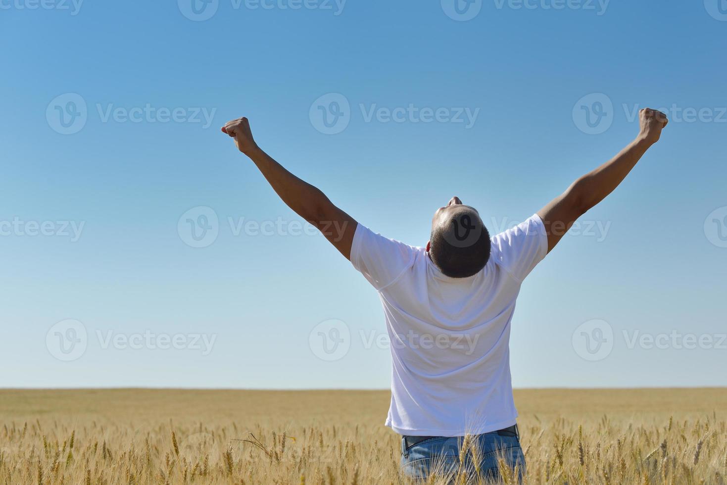 man in wheat field photo