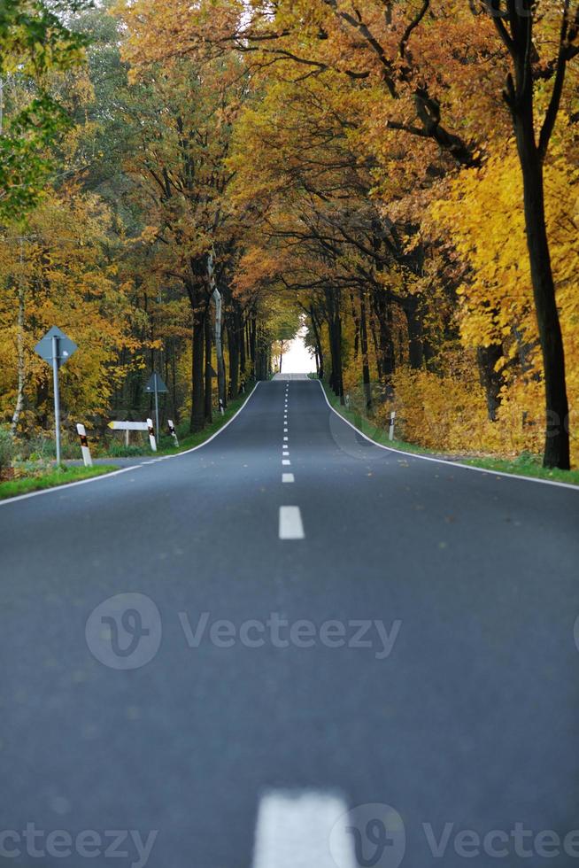 country road view photo