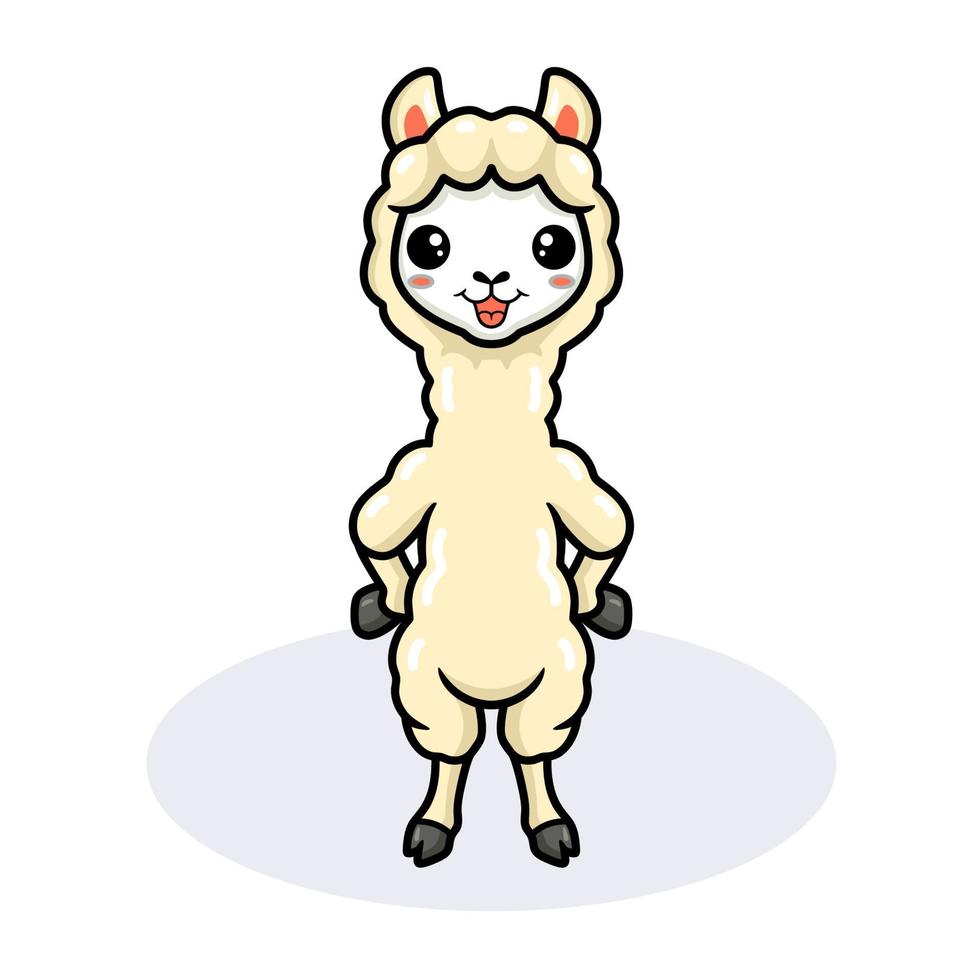 linda pequeña caricatura de alpaca de pie vector