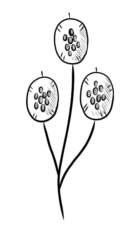 ilustración vectorial negra de una flor seca aislada en un fondo blanco vector