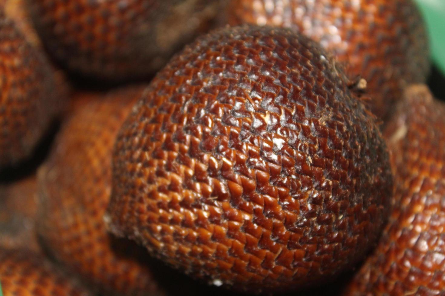 salak fruit, how many salak fruit, salak fruit in plastic photo