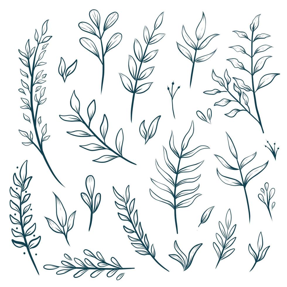 Hand drawn floral outline leaf decorative elements vector