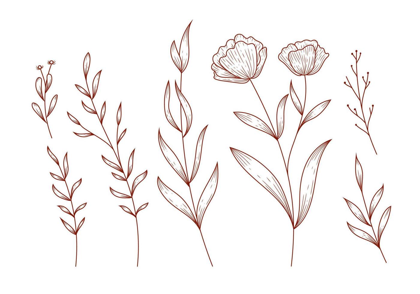 Rustic Hand drawn leaves floral flower isolated clipart illustration Vector