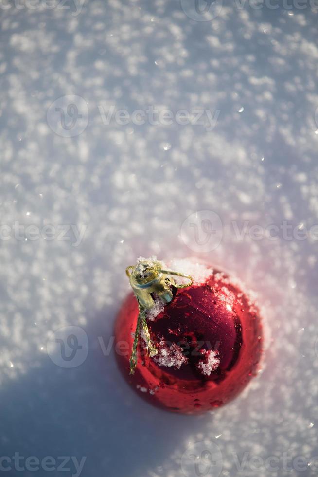 christmas ball in snow photo