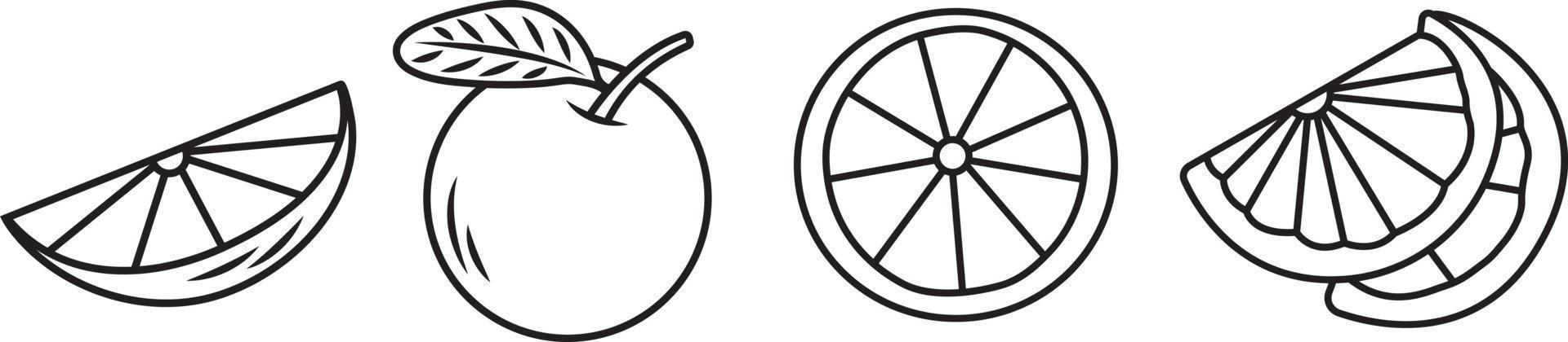 Oranges in multiple shape whole, slice and half with leaf. vector illustration