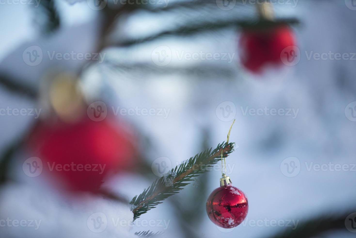 christmas balls on tree photo