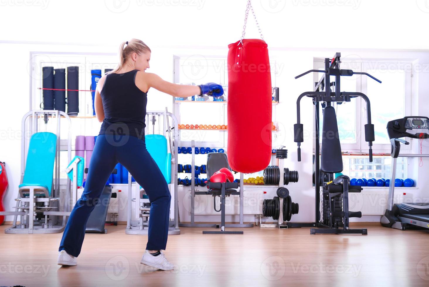 Female boxer view photo