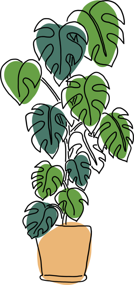 simplicidad monstera planta dibujo a mano alzada diseño plano. png