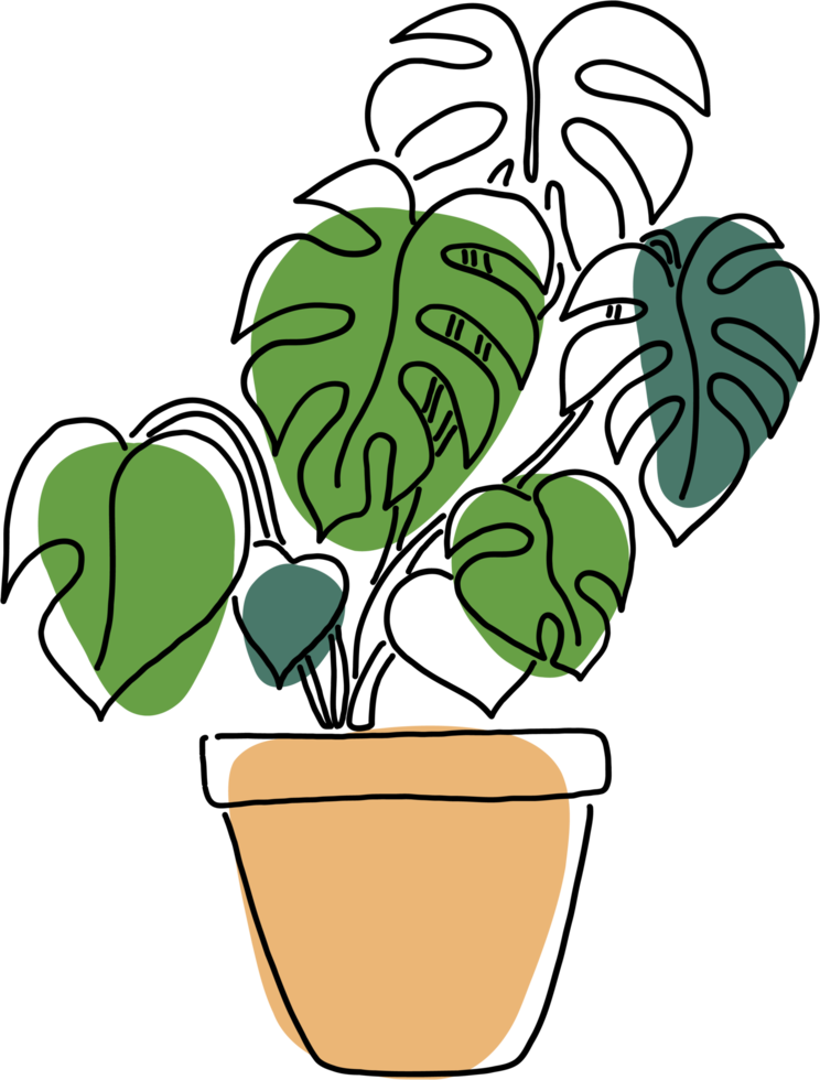 enkelhet monstera växt frihandsteckning platt design. png