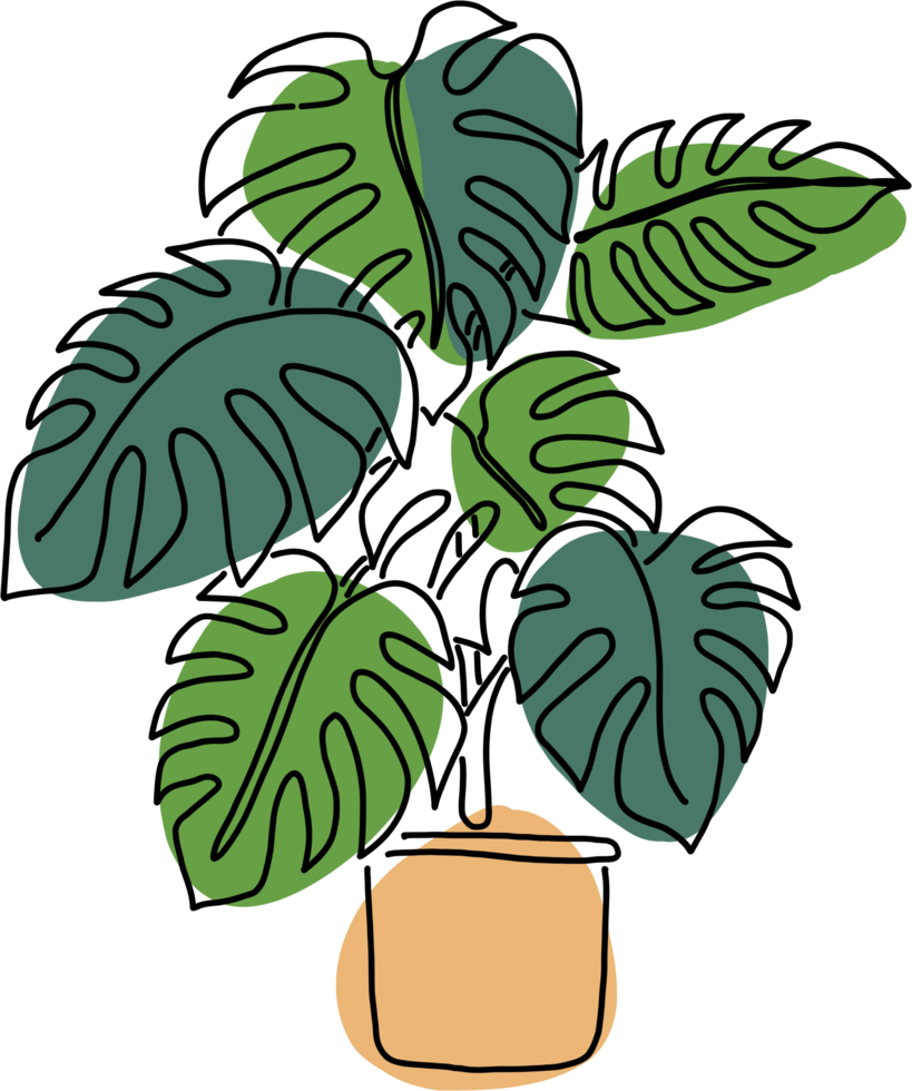 simplicidad monstera planta dibujo a mano alzada diseño plano. png