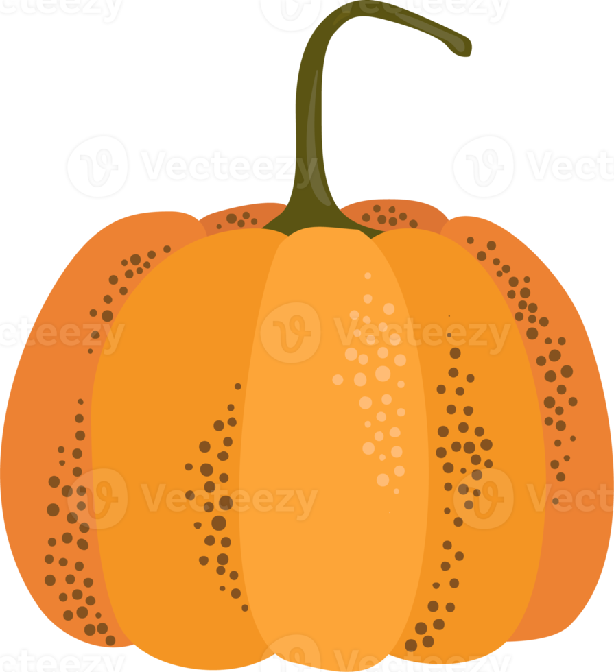 Pumpkin. Isolated illustration. png