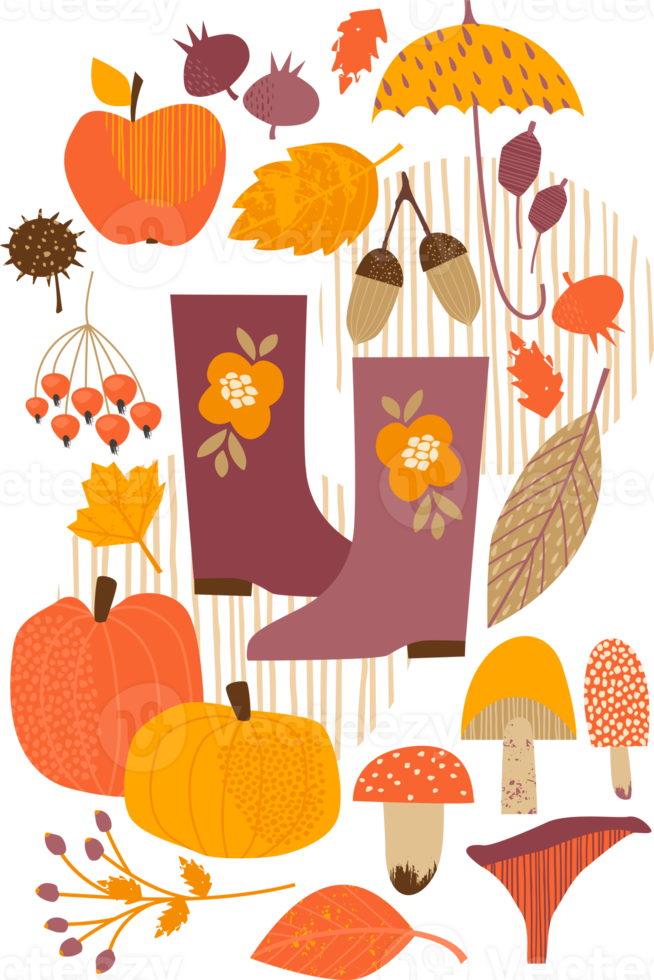 Autumn illustration. Isolated illustration. png