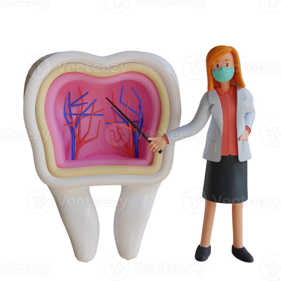 3d female doctor wearing a mask presenting the inside of the tooth character design illustration png