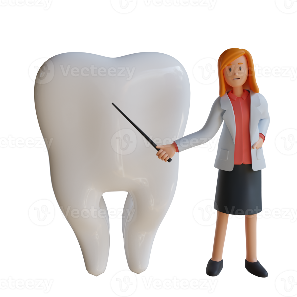 3d female doctor explaining the parts of the teeth character illustration png