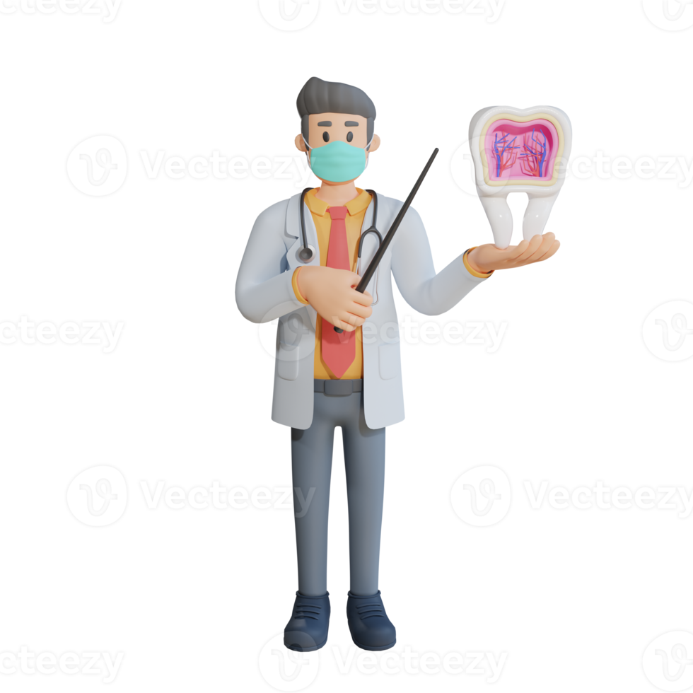 3d male doctor wearing a mask presenting the inside of the tooth character design illustration png