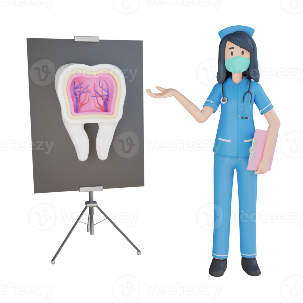 enfermeira usa máscara explicando a ilustração de personagem 3d dos dentes internos png