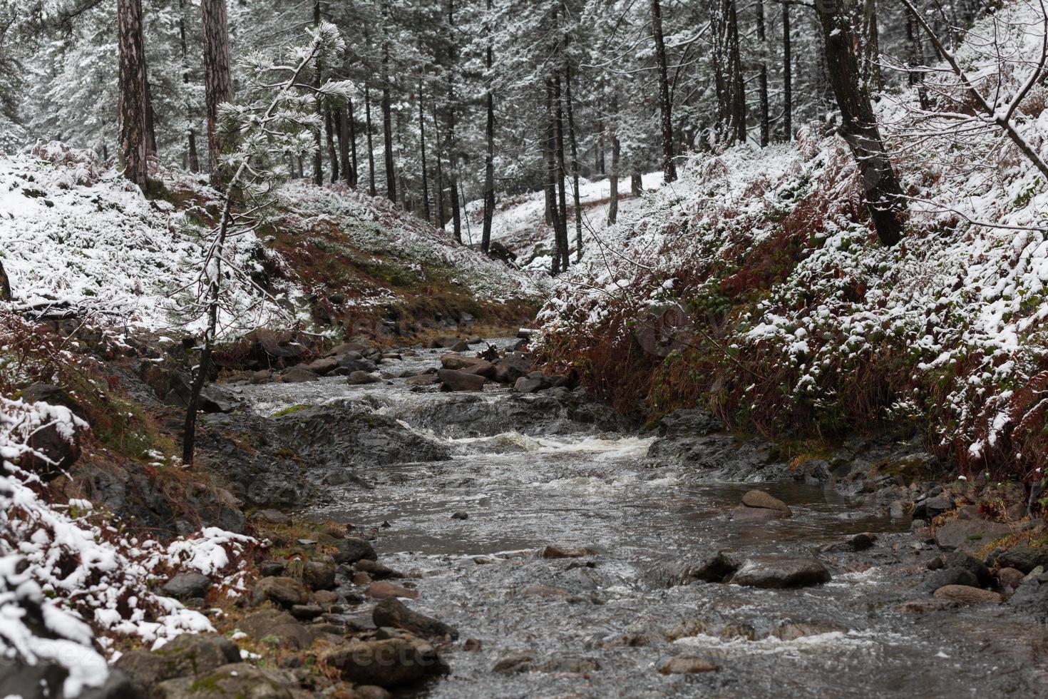 Water stream in the winter forest. Trees and shore covered in snow photo