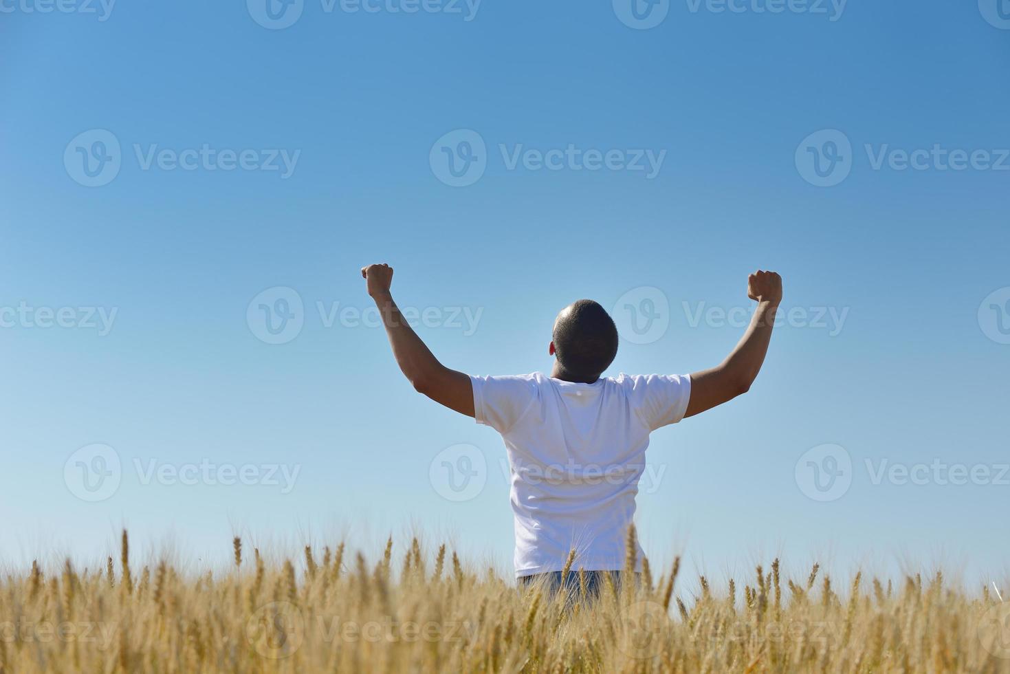 hombre en campo de trigo foto