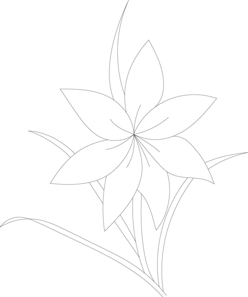 Floral coloring page vector