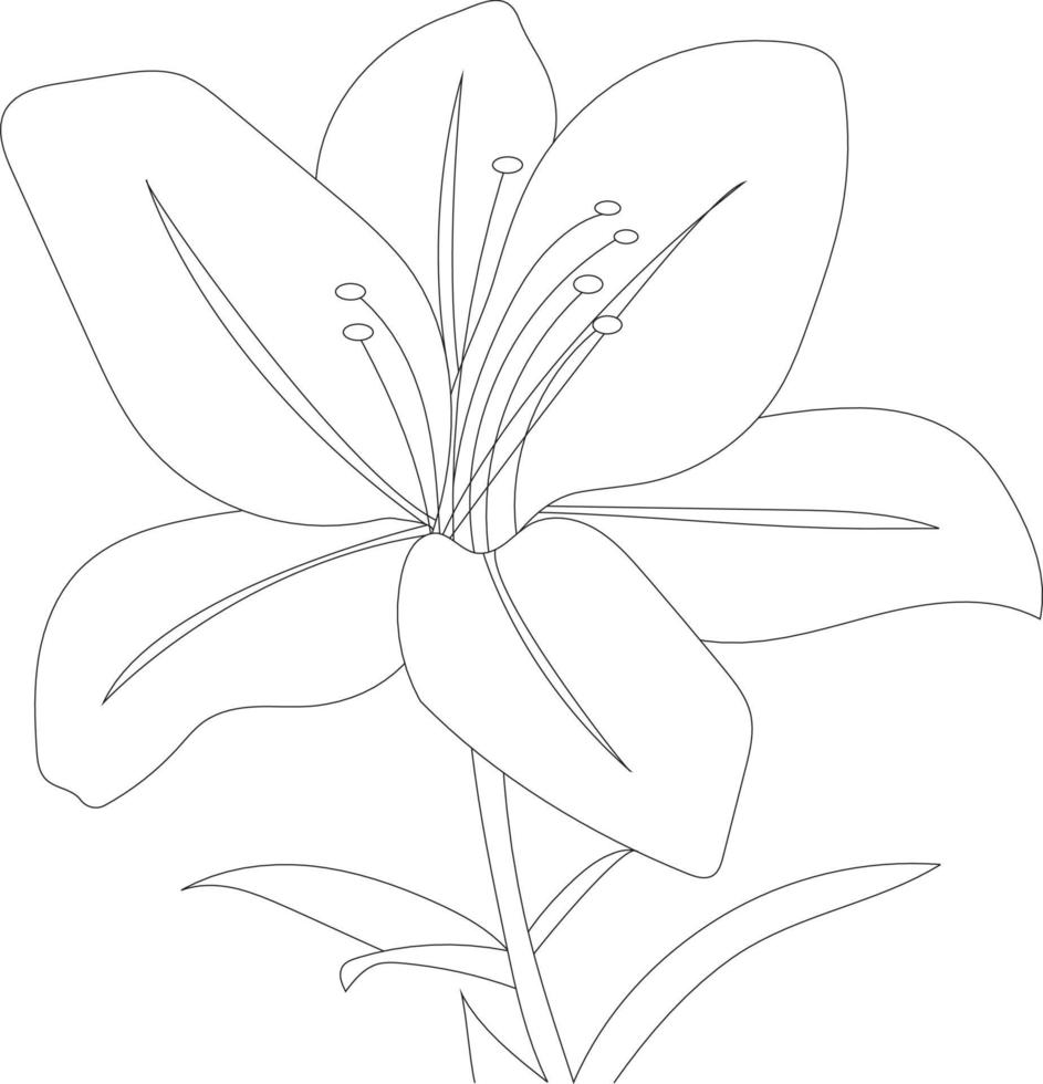 Floral coloring page vector