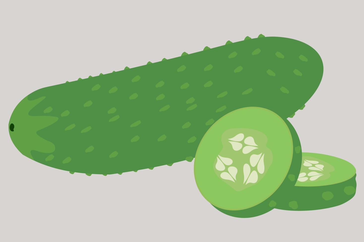 Cucumbers set. Whole cucumber, half. Healthy, diet, vegetarian food. Vector illustration