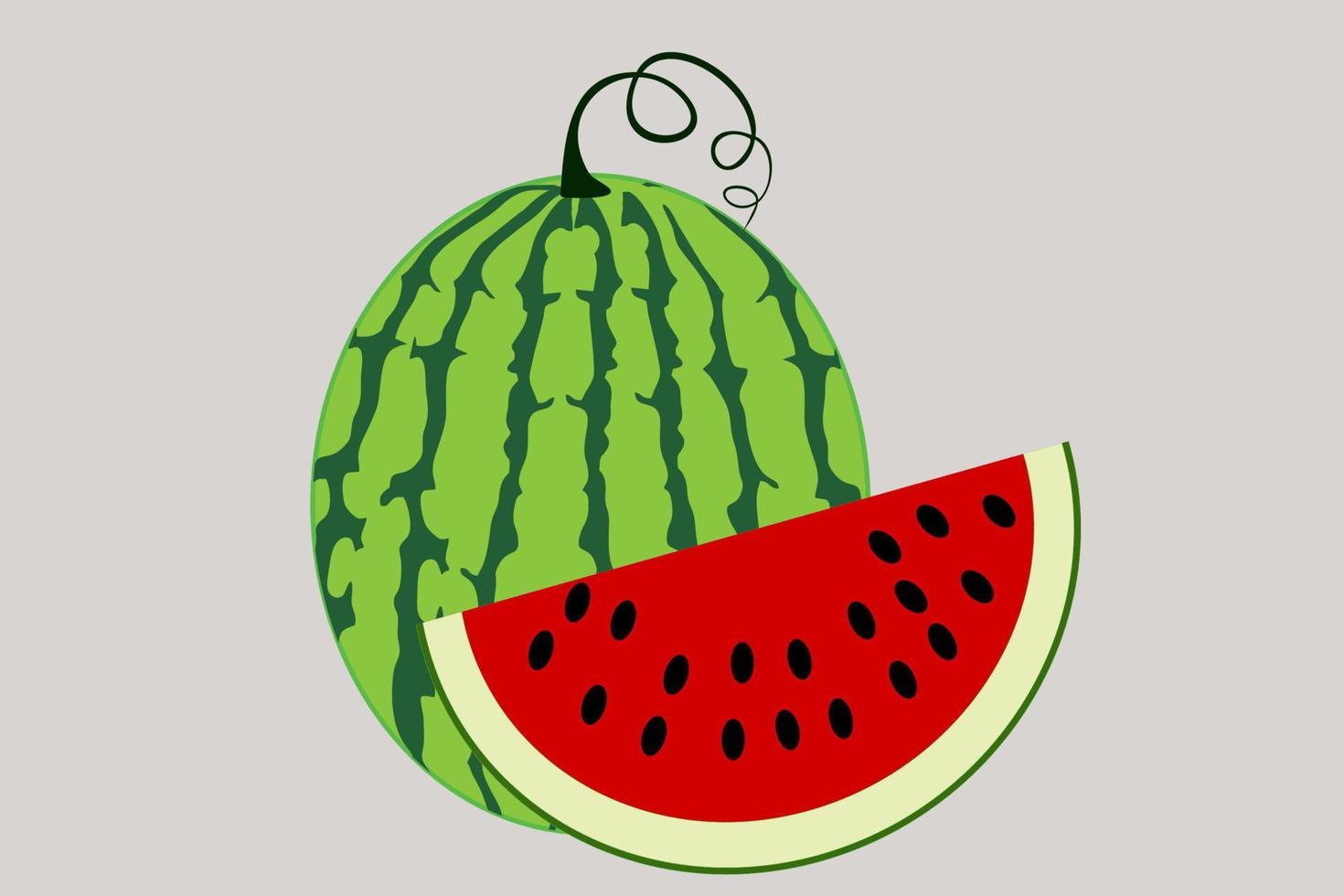 Fresh Watermelon Illustration vector
