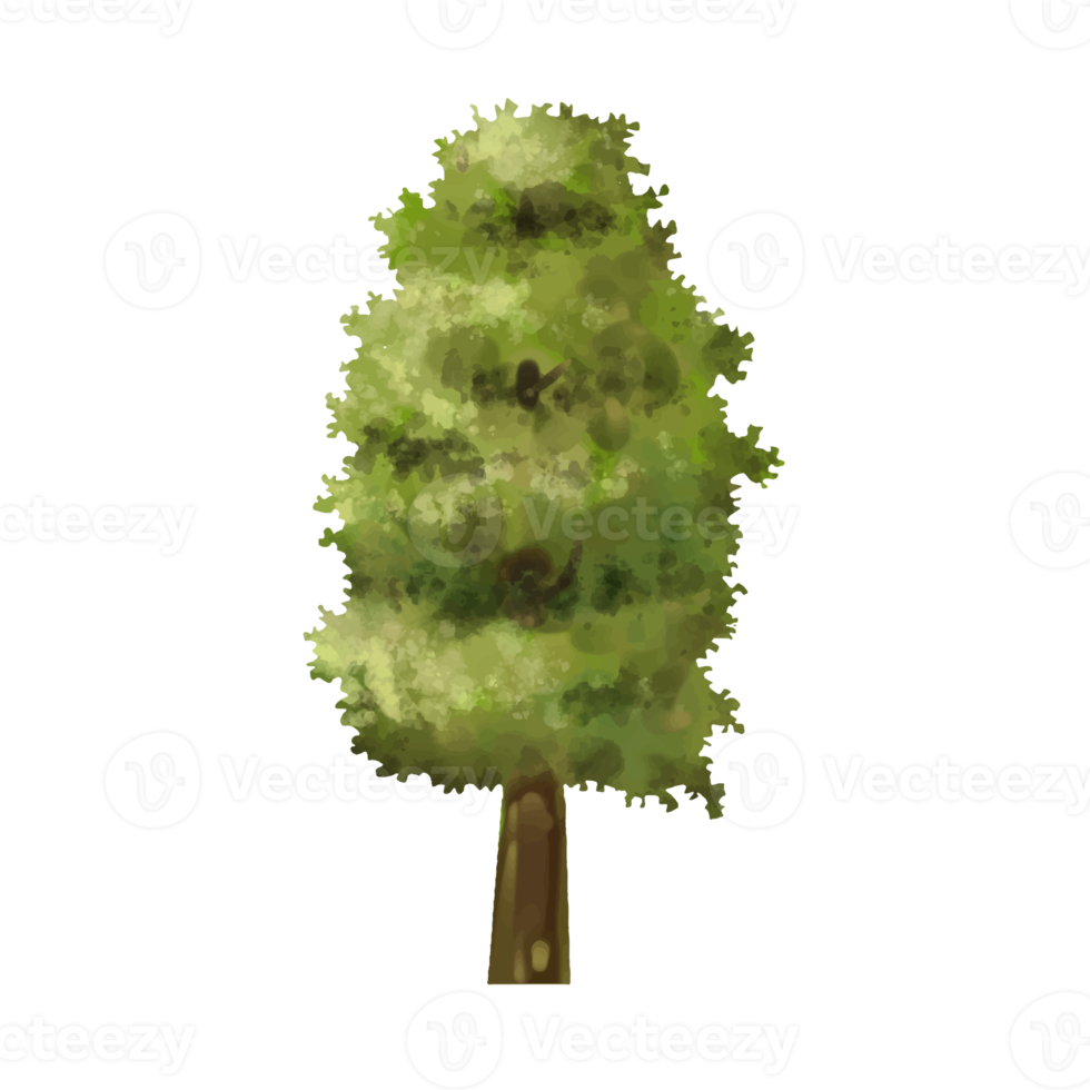 tree cartoon in painting style png