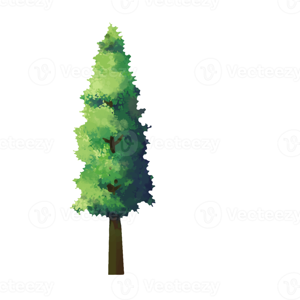 tree cartoon in painting style png